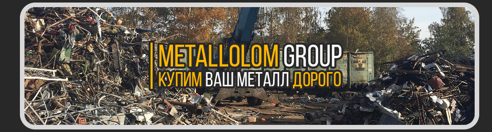 MetallolomGroup